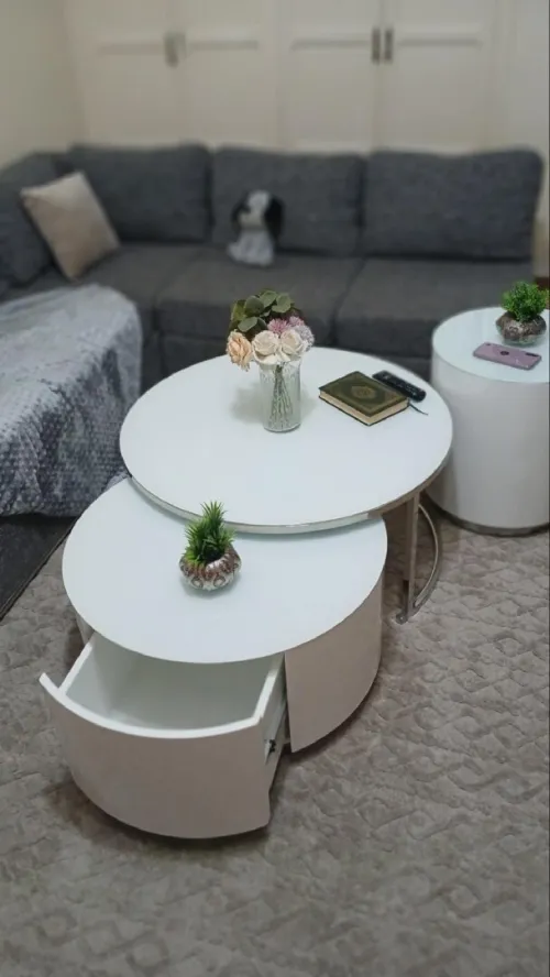 Table basse en inox avec rangement 