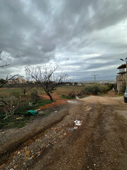 Vente Villa Alger Birtouta