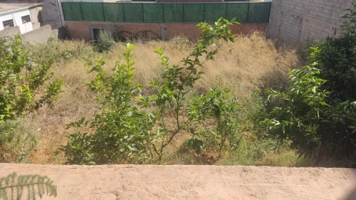 Vente Terrain Alger Birkhadem