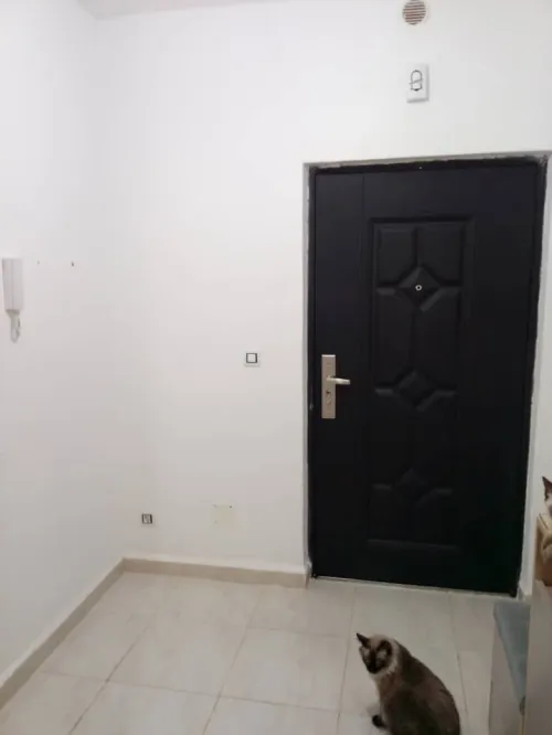 Location Appartement F5 Alger Mahelma
