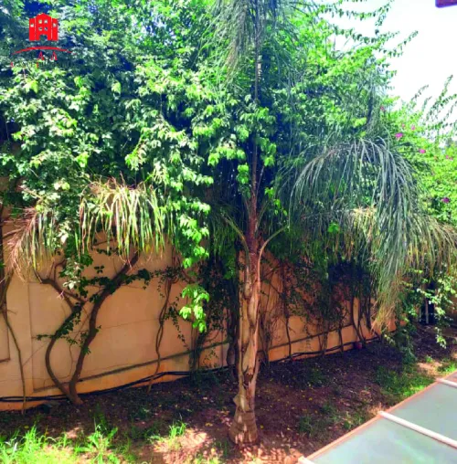 Vente Appartement F3 Alger Dely brahim