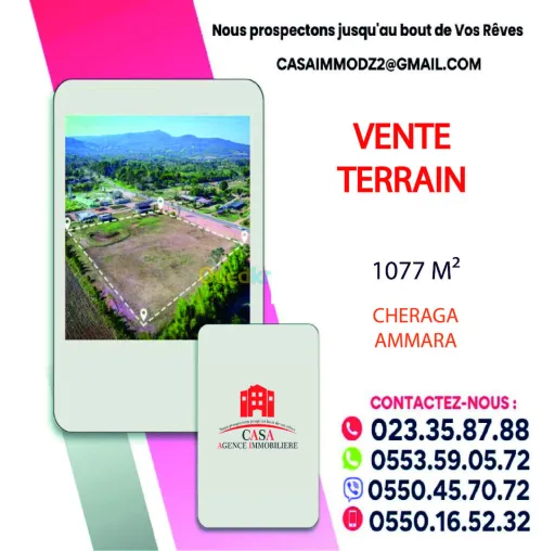 Vente Terrain Alger Cheraga