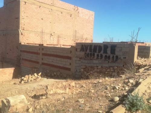 Vente Terrain Tlemcen Maghnia