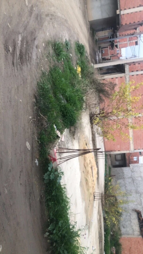 Vente Terrain Blida Ouled selama