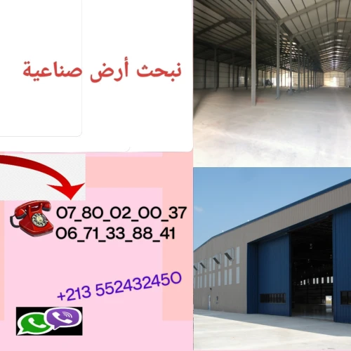 Cherche achat Terrain Relizane Relizane