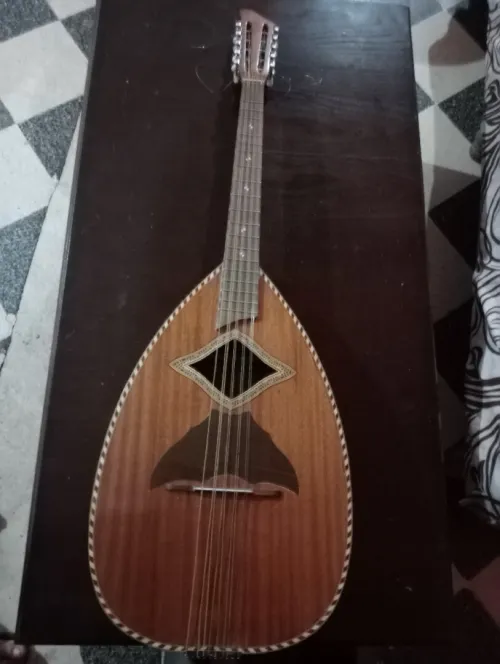 Mondol