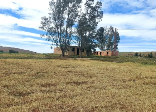 Vente Terrain Agricole Aïn Defla Djelida