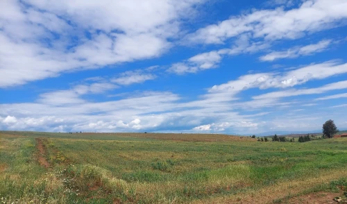 Vente Terrain Agricole Aïn Defla Djelida
