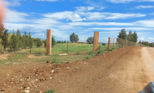 Vente Terrain Agricole Aïn Defla Djelida