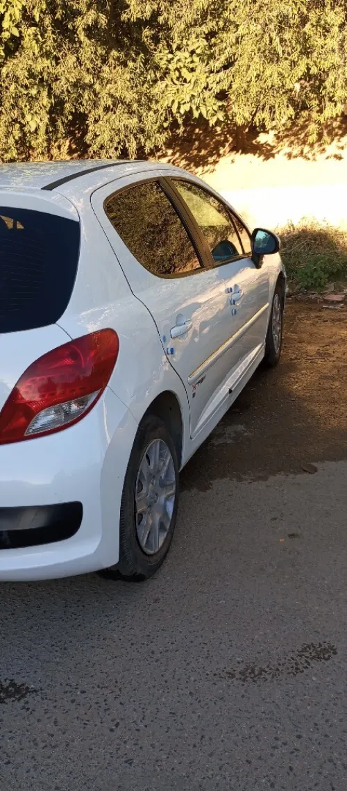 Peugeot 207 2012 Fennec