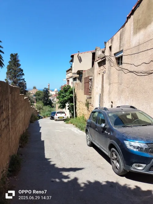 Vente Terrain Alger El biar