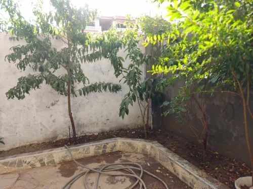Vente Appartement Niveau de villa Alger Ouled chebel