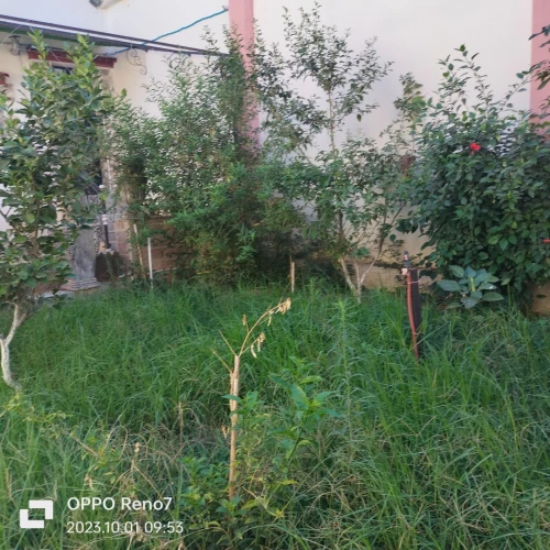 Vente Villa Blida Blida