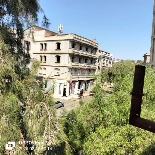 Location Appartement F3 Alger Saoula