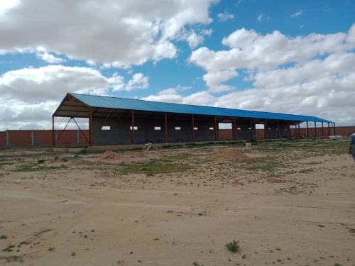 Vente Terrain Agricole Djelfa Birine
