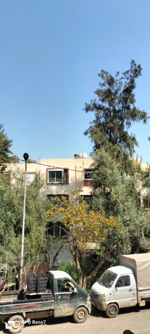 Location Appartement F3 Alger Saoula