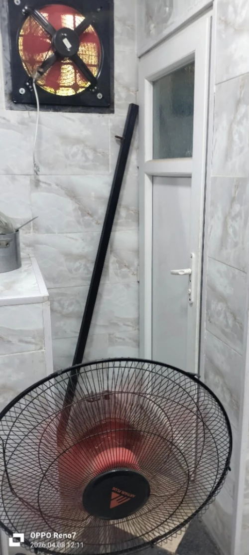 Vente Local Alger Les eucalyptus