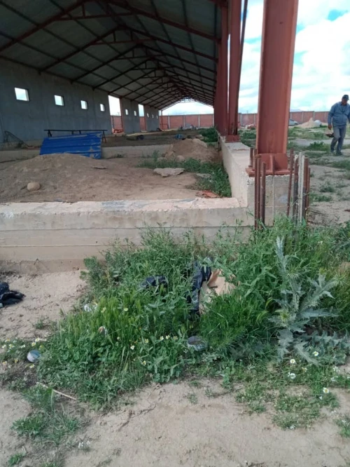 Vente Terrain Agricole Djelfa Birine