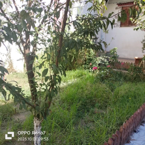 Vente Villa Blida Blida