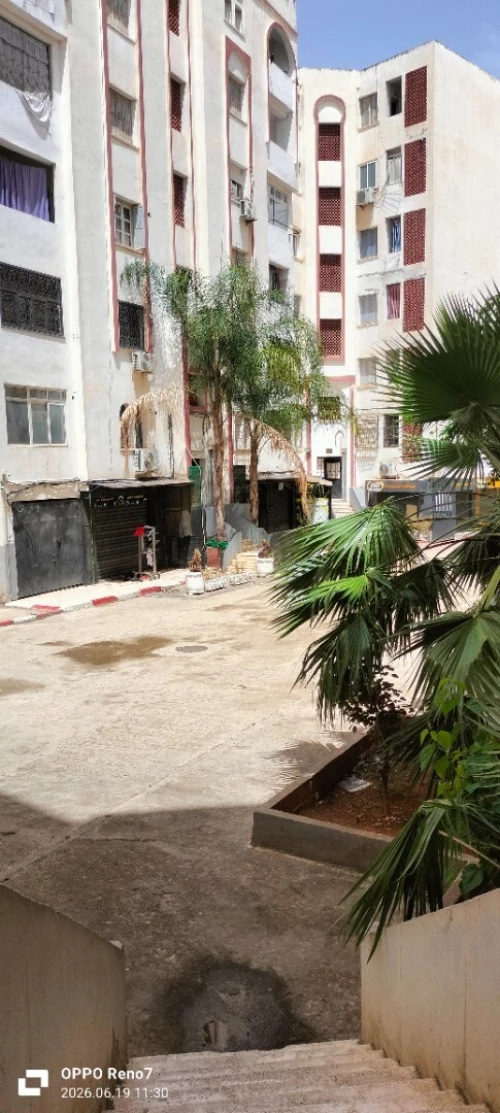 Location Appartement F3 Alger Saoula