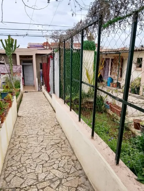 Vente Terrain Alger El biar