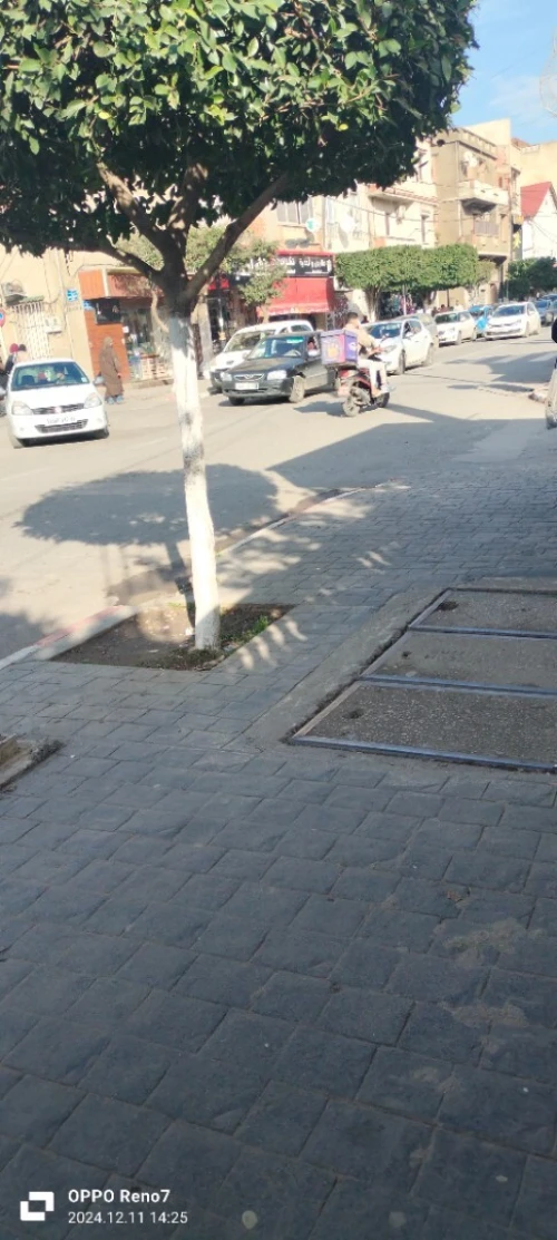 Location Appartement Alger Birtouta