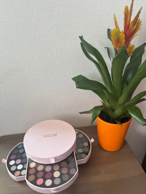 Palette Nocibé