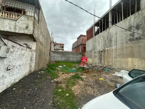 Cherche achat Terrain El Tarf Echatt