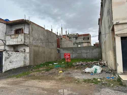 Cherche achat Terrain El Tarf Echatt