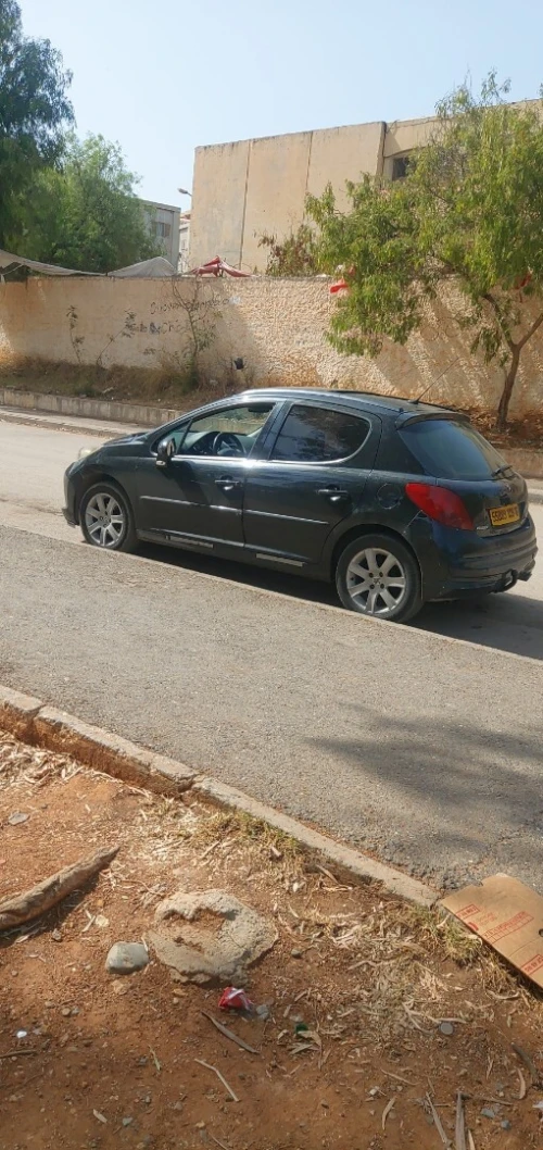 Peugeot 207 2009 Sportium