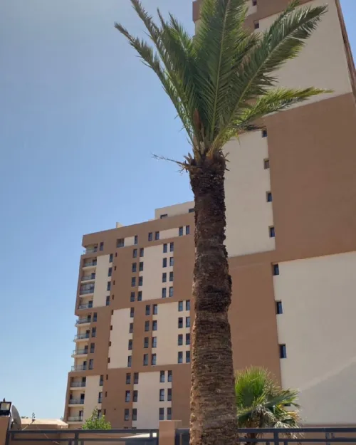 Vente Appartement F4 Oran Bir el djir