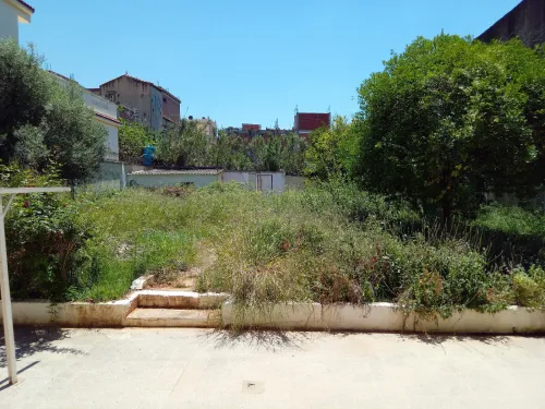 Vente Terrain Alger Birkhadem