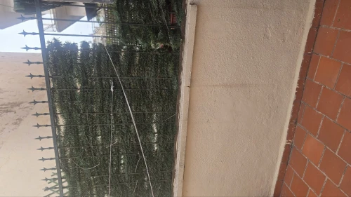 Location Villa Alger Alger centre