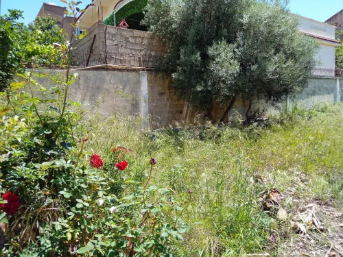 Vente Terrain Alger Birkhadem