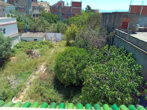 Vente Terrain Alger Birkhadem