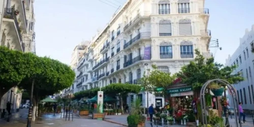 Cherche location Appartement F3 Alger Alger centre