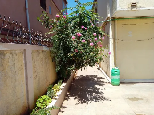 Vente Terrain Alger Birkhadem