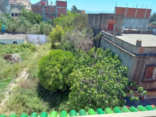 Vente Terrain Alger Birkhadem