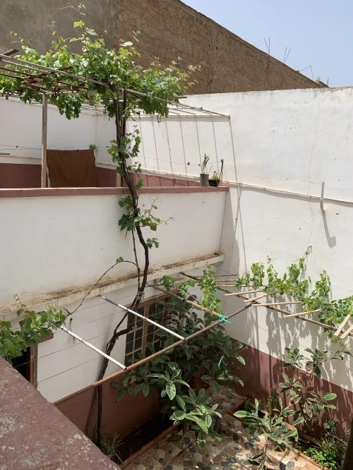 Vente Villa Mostaganem Sidi lakhdaara