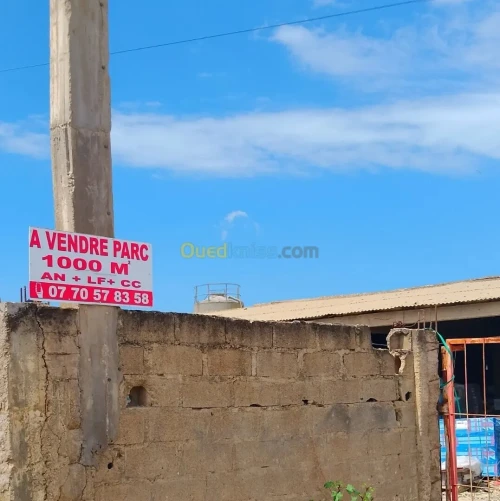 Vente Hangar - Usine Skikda Collo