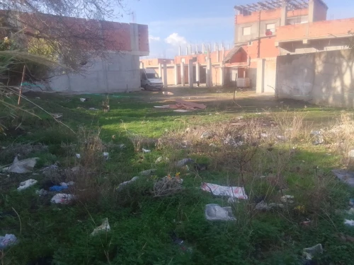 Vente Terrain Alger Sidi moussa