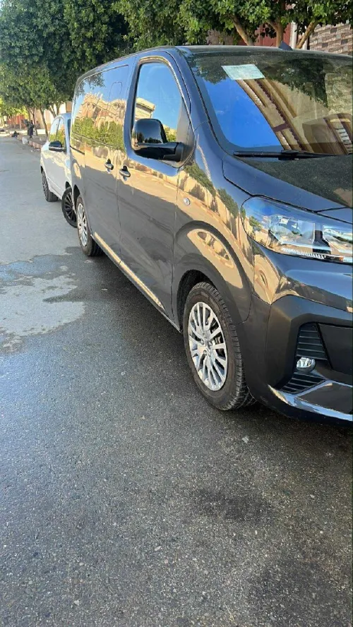 Peugeot Expert 2025 Combi