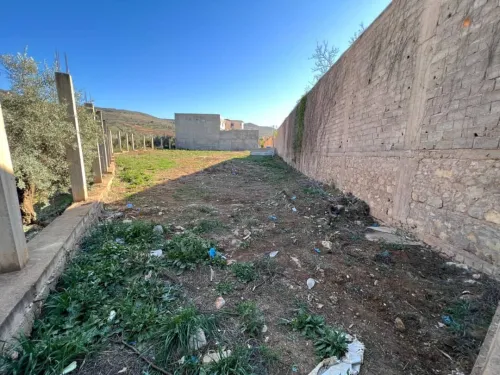 Vente Terrain Tlemcen Mansourah