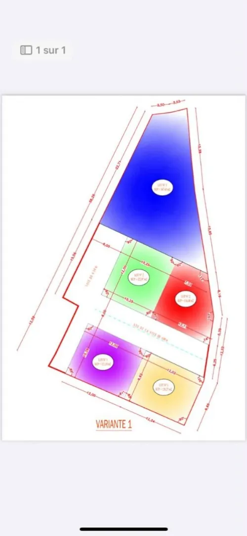 Vente Terrain Tlemcen Mansourah