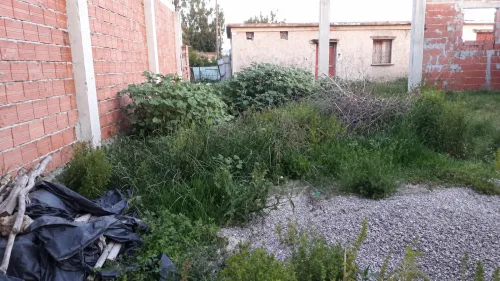 Vente Terrain El Tarf Echatt