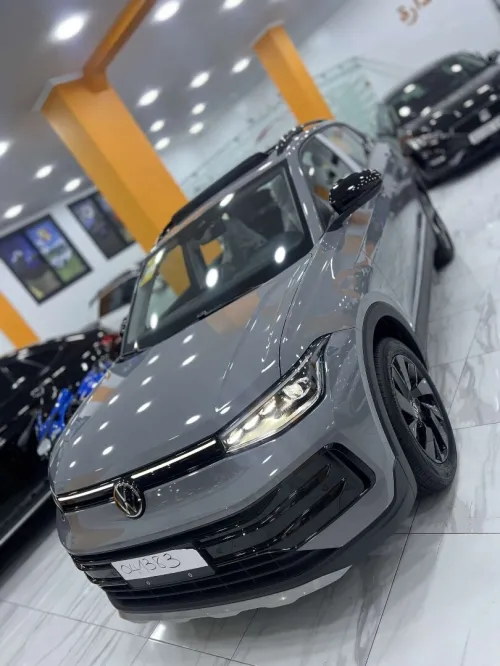 Volkswagen Tahru 2025 Ruixiang