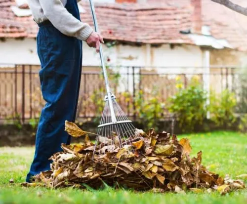 تحميل الأثاث ومواد البناء وتنظيف الحدائق Chargement de meubles matériaux de construction et nettoyage de jardins