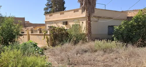 Vente Terrain Tlemcen Hennaya
