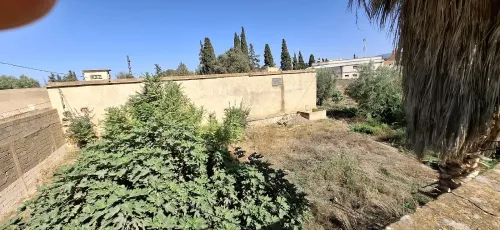 Vente Terrain Tlemcen Hennaya