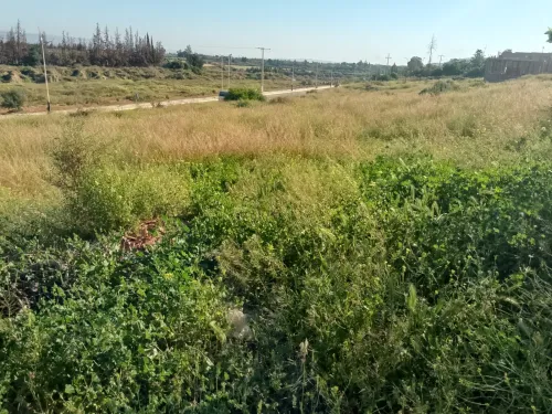 Vente Terrain Relizane Oued rhiou